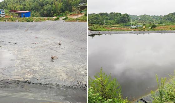 高性能 HDPE 滑らかな地膜 水産物と養魚用