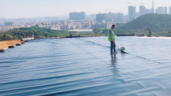 紫外線耐性HDPE 滑らかな地膜 抗老化とあらゆる環境で持続的な保護