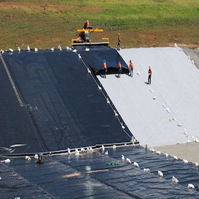 防滑りと侵食 柱点構造のHDPE質感の地膜