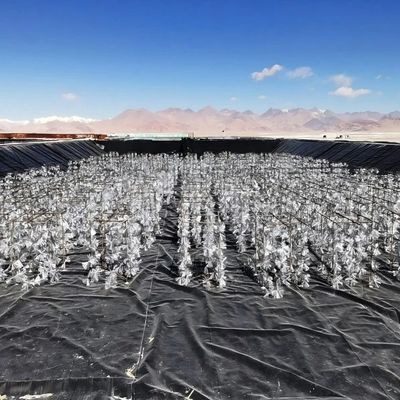 アシドとアルカリに耐える,涙に耐える HDPE スムーズジオメムラン 防漏工学プロジェクト