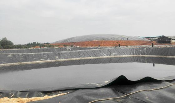 浸透防止型HDPE 滑らかな地膜 農業用 プロジェクト 魚の池の敷き布団 幅1m~9m 長さ30~100m 厚さ>0.5mm