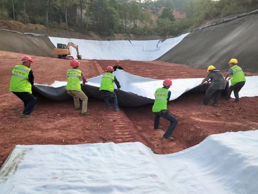 テラドレイン HD 3D 排水網: 化学的耐性と長寿