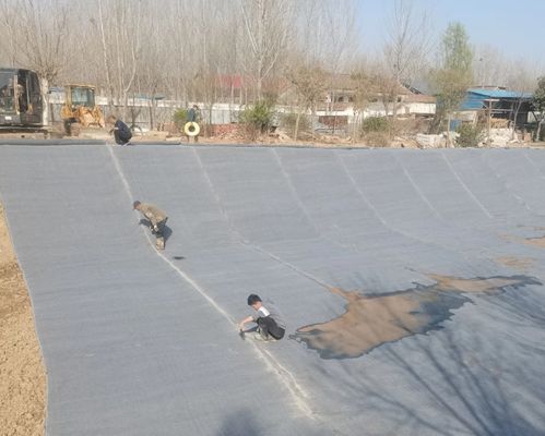 Cement Infused Geosynthetic Blanket (CCB)   Deploy. Hydrate. Harden.