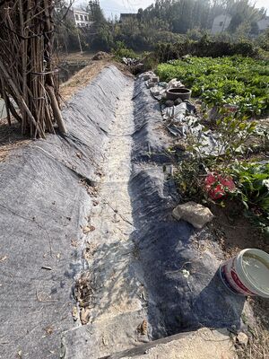 20m-50m 長さ 繊維繊維と堅固な地面強化のためのセメント粉末の急速硬化セメント毛布