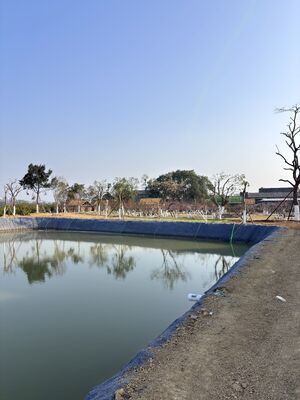 Cement Blanket for Vegetable Garden Water Storage - Leak-Proof Liner for Garden Ponds, Reservoirs & Irrigation Tanks
